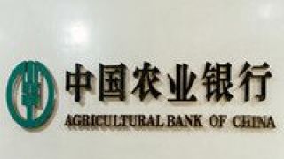 活水,地頭,農業銀行,田間,舉措,金融 農業銀行多舉措引金融活水入田間地頭