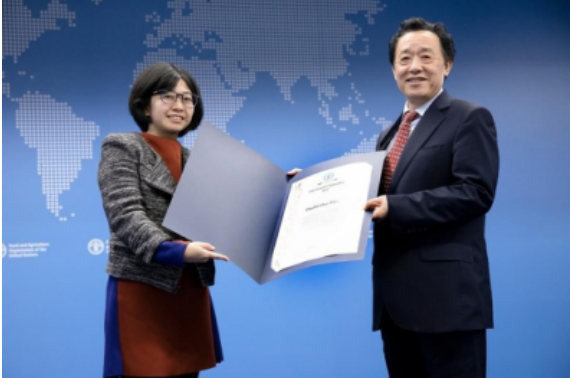 2022,聯(lián)合國(guó)糧農(nóng)組織,普惠,助力,多多,年度 助力農(nóng)業(yè)科技普惠，拼多多獲聯(lián)合國(guó)糧農(nóng)組織2022年度創(chuàng)新獎(jiǎng)