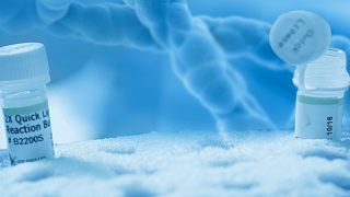 香雪制藥預(yù)計虧損4.53億元–6.29億元 連續(xù)對外并購致業(yè)務(wù)分散