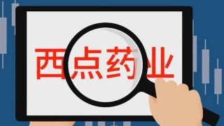 電鰻 電鰻號|西點(diǎn)藥業(yè)如何獲得內(nèi)生性增長?