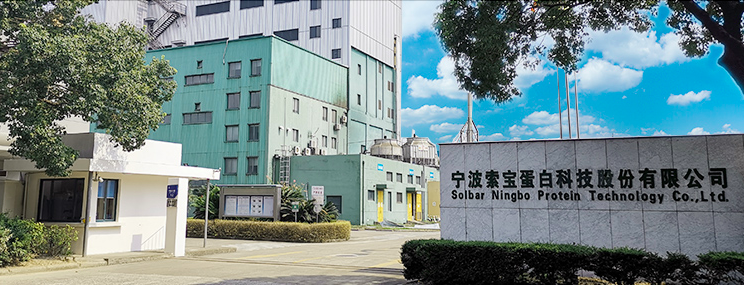 討人嫌,IPO,索寶,電鰻,套現,巨額 電鰻財經｜又是巨額套現！索寶股份IPO未上市已討人嫌