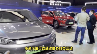 電鰻,攪動(dòng),小米,能否,能源,汽車(chē) 電鰻號(hào)|小米能否攪動(dòng)新能源汽車(chē)市場(chǎng)？