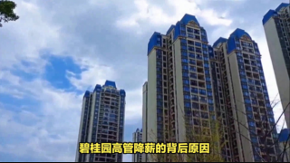 電鰻 電鰻號|碧桂園高管降薪，楊惠妍財(cái)富縮水200億