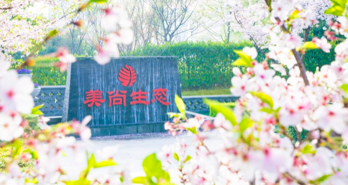 美尚,ST,造假,齊發,退市,多重 連續造假八年半 *ST美尚多重風險齊發走到退市邊緣